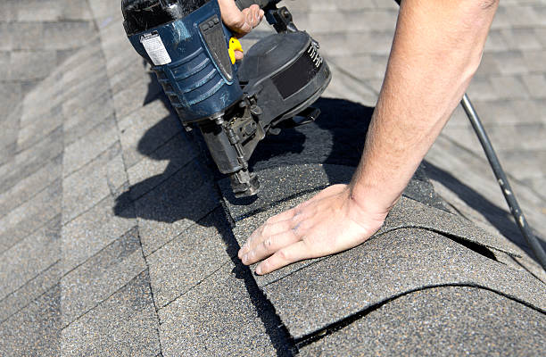 Best Roof Moss and Algae Removal  in Tangerine, FL
